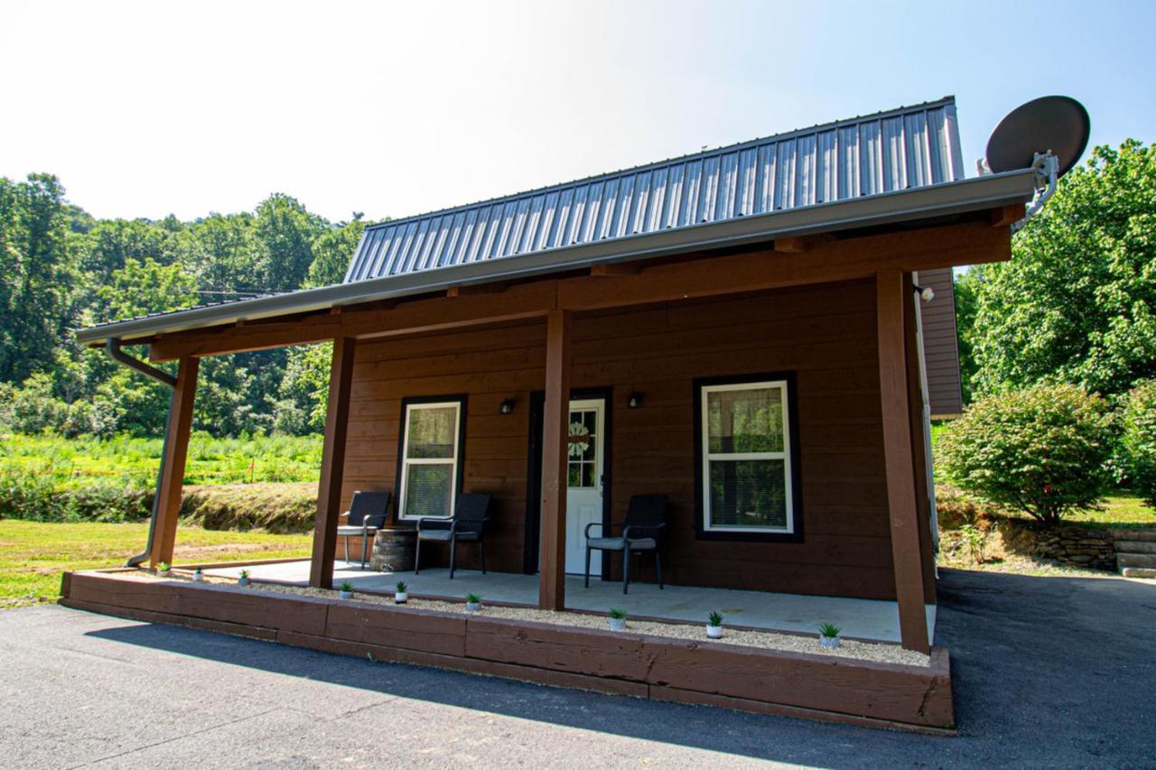 Mountain Haven Dragon'S Nest Cabin Роббинсвилл Экстерьер фото